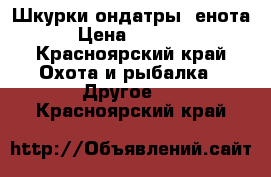 Шкурки ондатры, енота › Цена ­ 1 100 - Красноярский край Охота и рыбалка » Другое   . Красноярский край